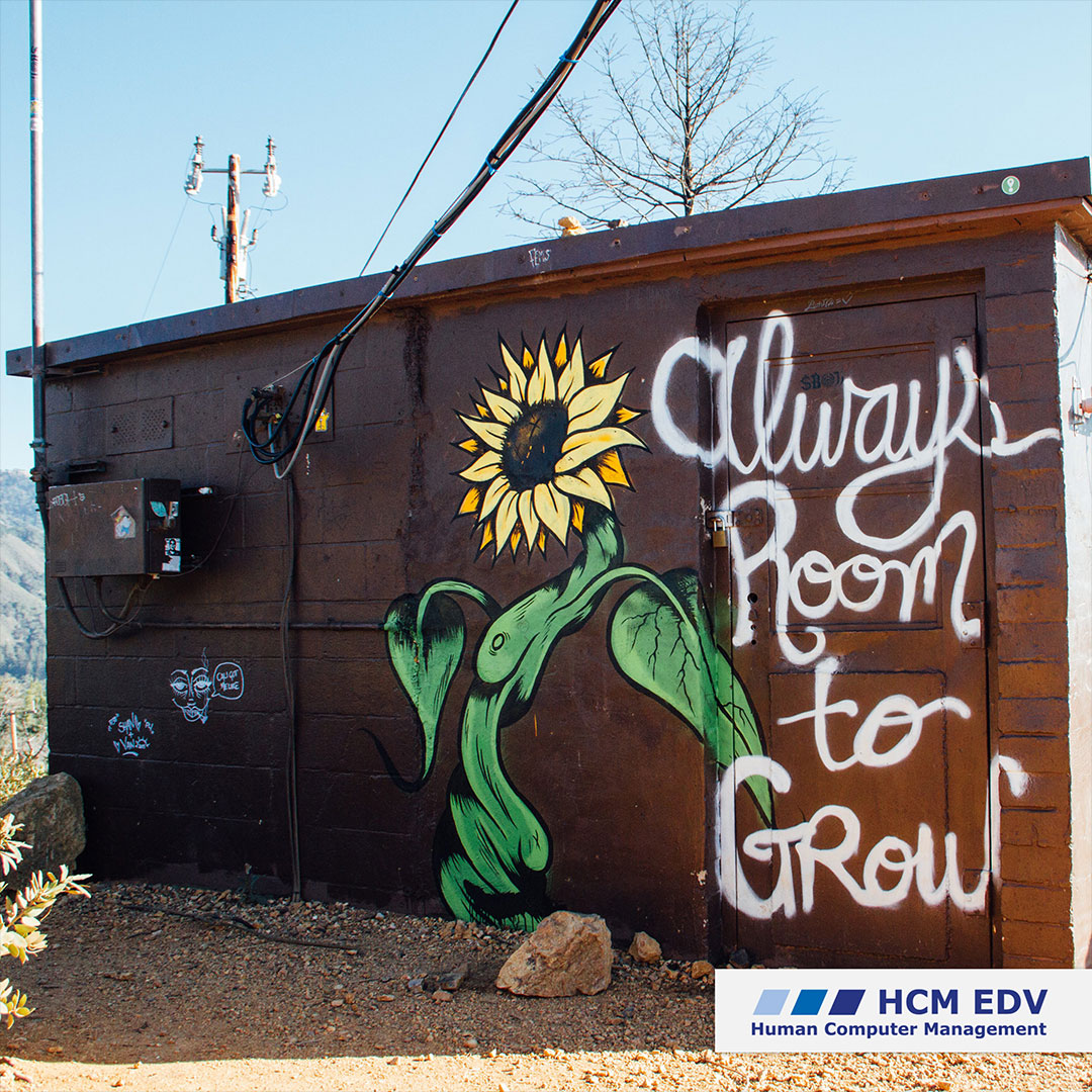 Sonnenblume, die auf eine Steinwand gemalt wurde - mit dem Text Always Room to grow